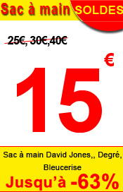 Sac � main 15 euros soldes h12