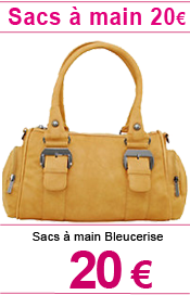 SAC MAIN 20 euros